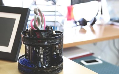 Quand les Émotions Deviennent des Compétences pour les Entrepreneurs